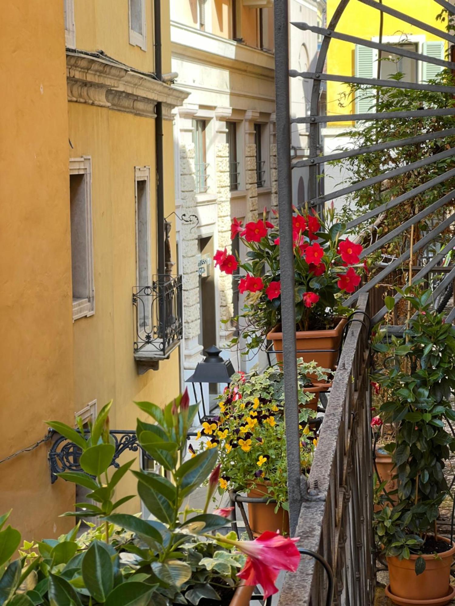 Flores Home فيرونا المظهر الخارجي الصورة